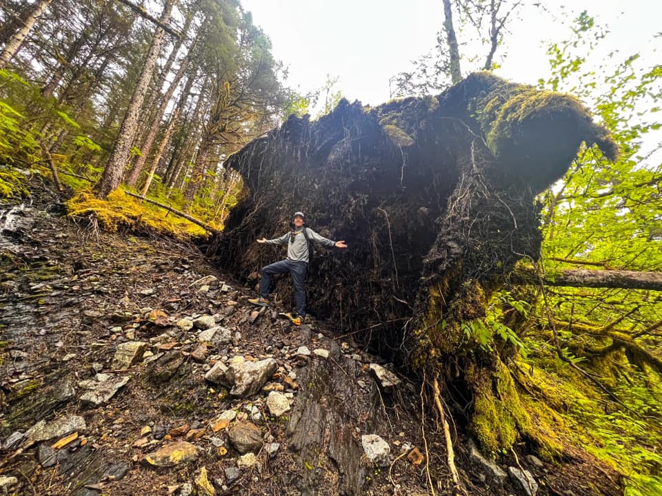 Alaskan guide standing next to fallen tree