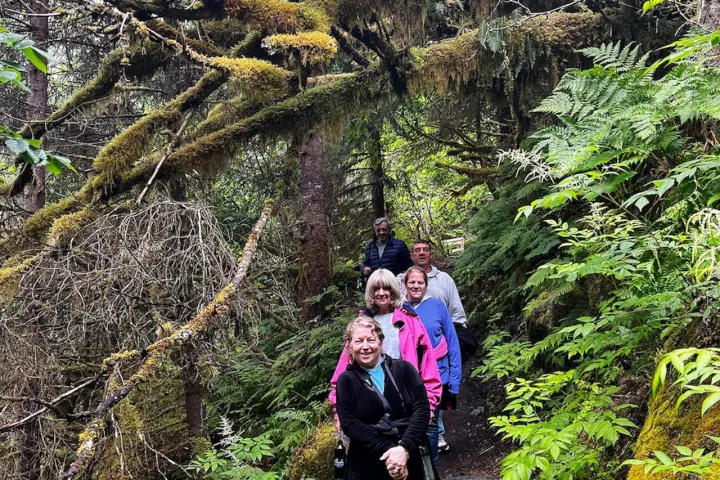 a person standing next to a forest