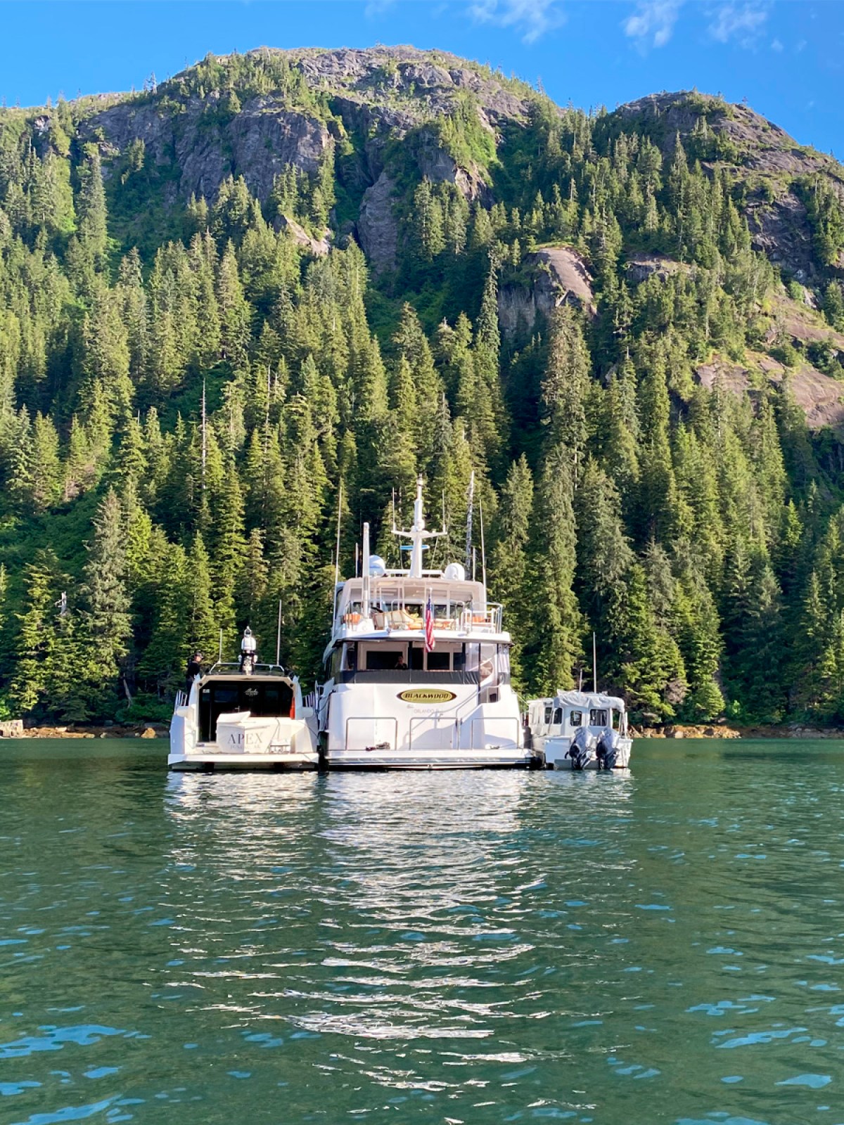 a boat in the middle of a lake surrounded by trees