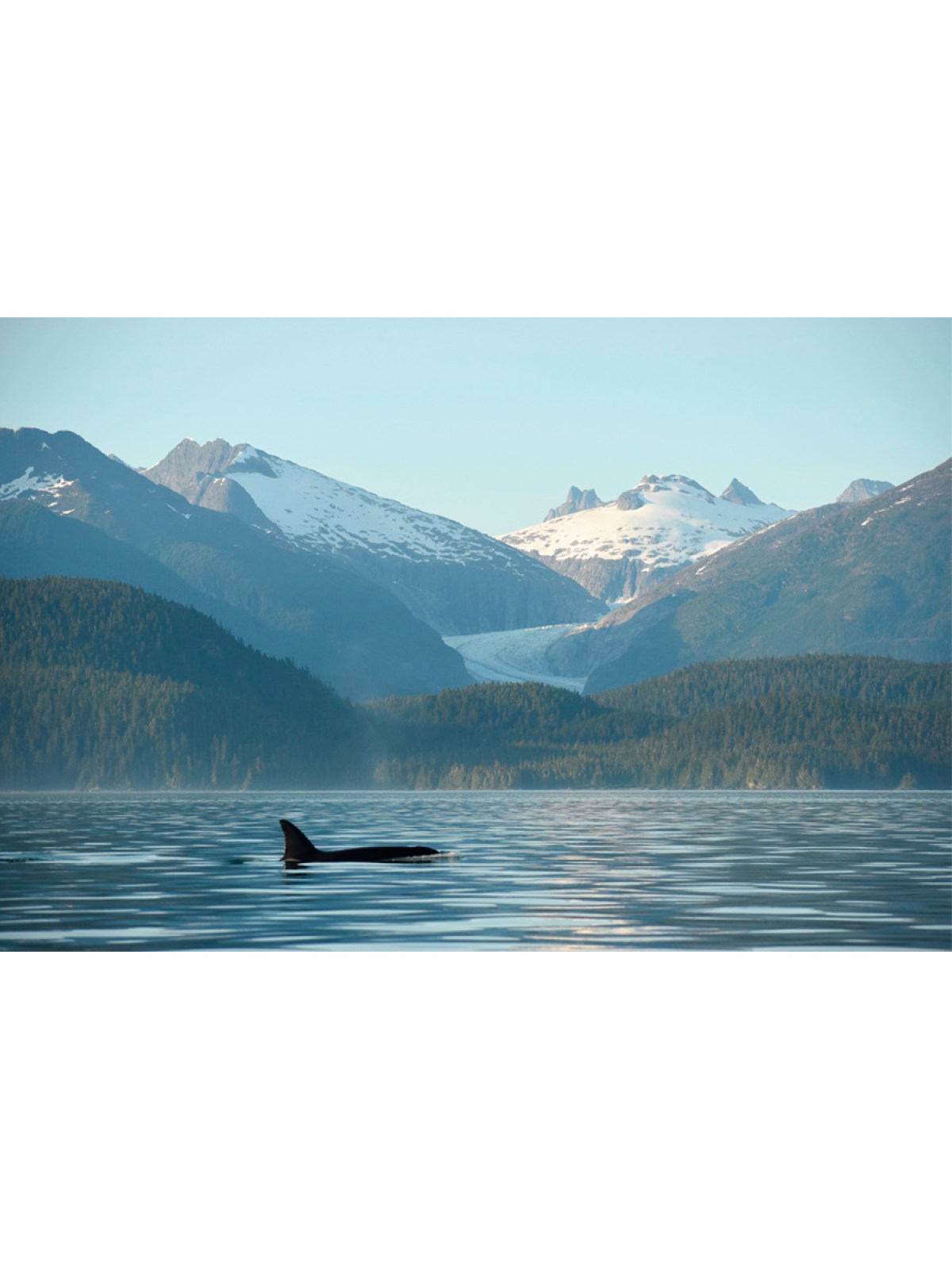 a body of water with a mountain in the background
