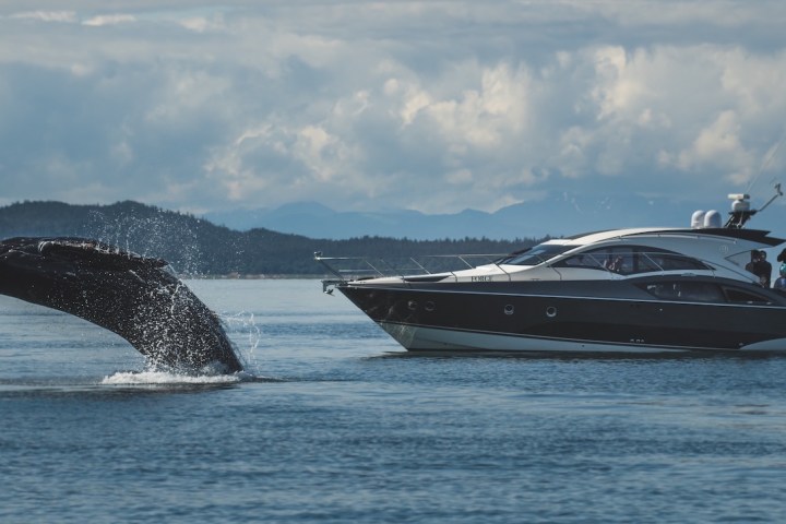 a small boat in a body of water with a mountain in the background