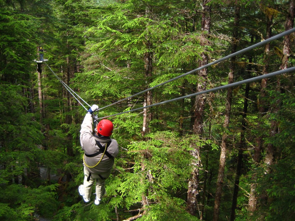 a person in a forest